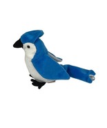 Ty Beanie Baby Rocket the Blue Jay Retired No Hang Tag - $92.26 MXN