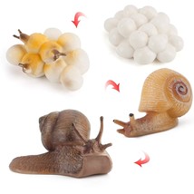 4 Pcs Snail Animal Life Cycle Model Figure Classroom Accessories Party Supplies  - £15.66 GBP
