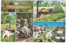 Postcard Critter Encounters Florida Cypress Gardens - $3.95