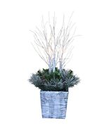 PULEO ASIA LIMITED 301-BT809-36L-JB-TV LED Christmas Porch Pot with Birch &amp; - $2,042.97 MXN