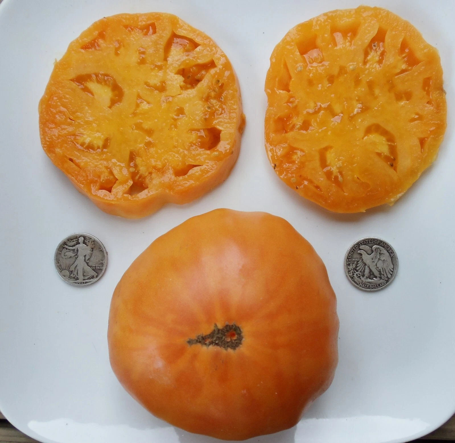 Kellogg&#39;s Breakfast - +25 Fresh Tomato Seeds - €1,01 EUR