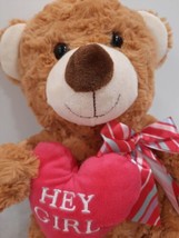 Hug Fun Hug Me Plush Brown Teddy Bear W/ Pink &quot;Hey Girl&quot; Heart Valentine&#39;s Day - £16.02 GBP