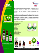 MSR Vbi- Anti-flu,Froid,Toux ,Mal de Gorge,Asthme,Frissons & Fever- ( 30) image 5
