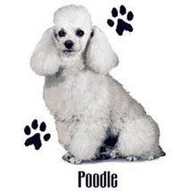 White Poodle Dog Heat Press Transfer For Shirt Sweatshirt Tote Quilt Fabric 895c - £5.22 GBP