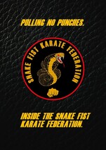 PULLING NO PUNCHES:INSIDE THE SNAKE FIST KARATE FEDERATION.THE SECOND SF... - $5.22
