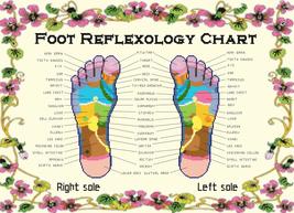 counted cross stitch pattern foot reflexology chart 303*219 stitches BN2105 - $3.99