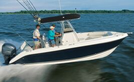 FORTRESS FX-7 ANCHOR - 4LB image 4