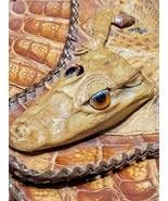 Cuban/Gator/HandbagC.1950-1970 - $30.00