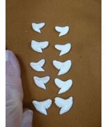 SW-1-N-2-54 Wholesale 10 (5left/right) 5/8&quot; modern Tiger Shark T**th DIY... - $496.68 MXN
