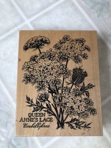 Primary image for PSX Queen Anne's Lace flowers wood mount rubber stamp K-2048 floral botanical