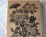 PSX Queen Anne&#39;s Lace flowers wood mount rubber stamp K-2048 floral bota... - $31.18