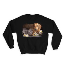Dachshund Daisy and Cat : Gift Sweatshirt Dog Friend Pet Funny Cute Puppy - £23.26 GBP