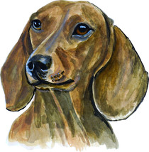 Dachshund Hound Wiener Dog Smooth Short Haired Auto Boat Rv Window Decal Sticker - £5.57 GBP+