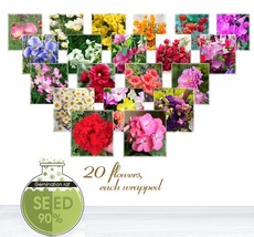 Combo Seeds of 20 Flowers Assortment in Distinctive Packaging - £47.17 GBP