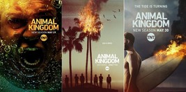 Animal Kingdom Poster TV Series Season 1-5 Art Print Size 14x21&quot; 24x36&quot; ... - £9.36 GBP+