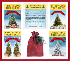 Grow Your Own Christmas Tree Collection 4 Gift Packets Of Tree Seeds Giftbag Fre - $24.00