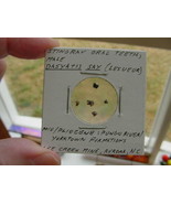(S1367-O) Micro Fossil Stingray Sting Ray oral teeth male Dasyatis Auror... - $10.39