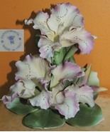 Capodimonte 5.25&quot; Orchid Italy Porcelain Floral Flower purple white lily... - €57,85 EUR