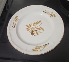 Golden Wheat Dinner Plate, Made In China, 11 Inches - $4.45