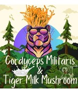Antrodia camphorata/Tiger Milk Mushroom &amp; Cordyceps Militaris capsules (... - £16.37 GBP