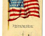 Wm B McKinley American Flag Postcard 1917 Washington DC Christmas &amp; New ... - £27.53 GBP