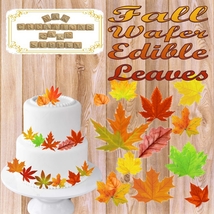Edible Wafer Leaf Cut Outs ~ Pre-Cut ~ Autumn/Fall Colored - £6.19 GBP+