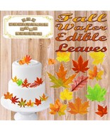 Edible Wafer Leaf Cut Outs ~ Pre-Cut ~ Autumn/Fall Colored - $7.75+