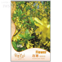Beautiful Weeping sythia Seed Original Pack 35 seeds easy to grow long f... - $7.89