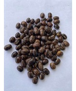 Togolese pea Blackish  African yam beans(sphenostylis stenocarpa), 50 se... - £28.23 GBP