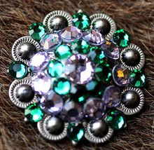 4 Conchos Rhinestone Horse Saddle Western Rodeo Bridle Berry Purple CO17 - $21.77