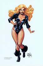 Black Canary SIGNED John Beatty DC Comics / Arrow / JLA Art Print - £28.03 GBP