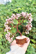 Rose Quartz Gemstone Tree with Copper Wire | Handmade Crystal Luck Tree - $54.21 CAD+