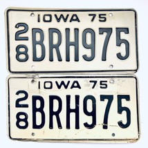 1975 United States Iowa Delaware County Passenger License Plate 28 BRH975 - £20.23 GBP