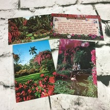 Postcard Lot Of 4 Collectible Vintage Florida Sunken Gardens Flamingos Flowers - £7.74 GBP