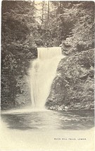 Buck Hill Falls, Lower, vintage postcard - $11.99