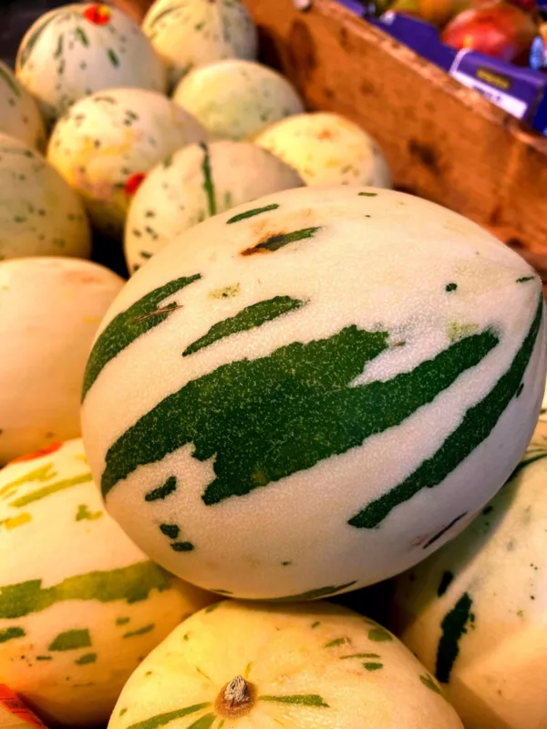 10 Snowball Melon Seeds Hard to Find Snow Leopard Melo - $16.62