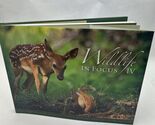 Wildlife in Focus IV (Conservation Edition) Hardcover - $18.63