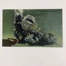 Old Style Diver with Shark Grouper Marineland Florida Marine Studios postcard - $4.74