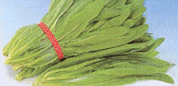 2000 Sword Leaf Lettuce Pointed Leaf Lettuce Seeds &quot;&quot;A Choy&quot;&quot; Non Gmo Fr... - £8.63 GBP