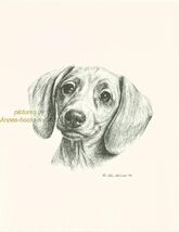 # 30 DACHSHUND portrait *  dog art print * Pen and ink drawing * Jan Jel... - $12.38