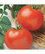 Jersey Tomato seeds aka Rutgers Tomato Seeds 50+ pcs - $5.45 CAD