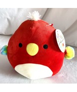 Kellytoy Squishmellow Paco Red Parrot Plush 8 Inch New With Tags - £10.11 GBP
