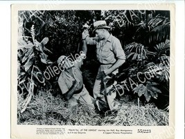 Phantom Of The JUNGLE-1955-8X10 Promo STILL-JON HALL-ANNE GWYNNE-ADVENTURE FN/VF - £32.78 GBP