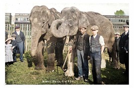 ptc2407 - Yorks. - Elephants &amp; their Keepers at the Hull Fair c1940s - p... - $2.80