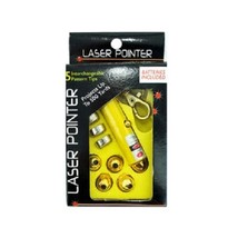 Laser Pointer Key Chain with Interchangeable Heads - $7.69