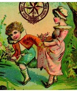 1880&#39;s Emil Seelig&#39;s Kaffee Victorian Trade Card - Picking Flowers in Ga... - $19.75