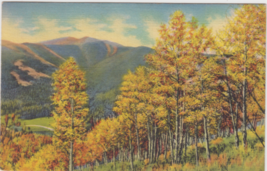 When Autumn Paints The Trees And Hills In Magic Colors Postcard 1939 Gunnison CO - $2.99