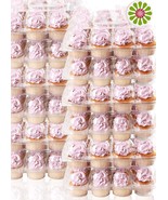 Mini Cupcake Containers Clear Boxes Disposable Plastic Durable Holds 288 - $835.46 MXN