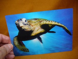 POST-5) Lenticular 3D Postcard Green Sea Turtle reef swimming blue ocean turtles - £7.58 GBP