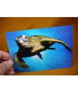 POST-5) Lenticular 3D Postcard Green Sea Turtle reef swimming blue ocean... - £7.46 GBP